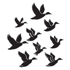 Fototapeta premium Flying duck vector, duck set vector.