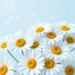 Obraz premium Soft petals of white daisies against pale blue background with intricate snowflakes dance in gentle breeze, winter, frosty, daisies