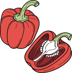 Capsicum Vector Art Illustration Isolated on white background 