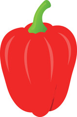 Capsicum Vector Art Illustration Isolated on white background 