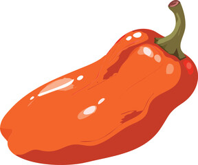 Capsicum Vector Art Illustration Isolated on white background 