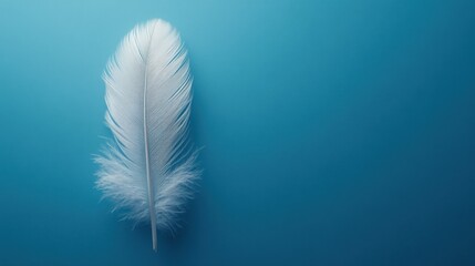 White feather on vibrant blue background with soft texture and minimalist design