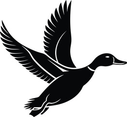 A beautiful flying Mallard Duck vector art, Mallard Duck silhouette vector illustration, Mallard Duck line art vector icon design