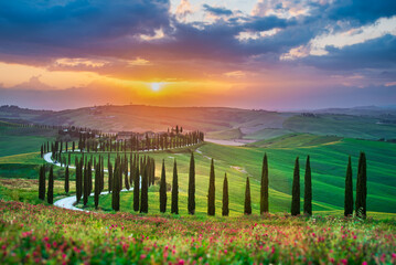Tuscany, Italy. Sunset with typical Tuscan landscape, rows of cypress trees in spring season.