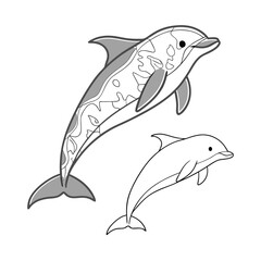 Marine mammals vector illustration. Underwater animal