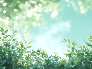 A calming background of soft greenery merging into a radiant summer sky illuminated by bokeh.