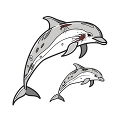 Marine mammals vector illustration. Underwater animal