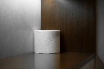 Toilet paper roll, perforated in restroom. WC, closet
