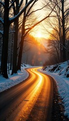 Warm sunlight filters through bare winter trees onto a winding road, light, illumination, sun