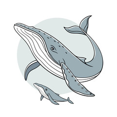 Marine mammals vector illustration. Underwater animal