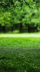 Naklejka premium Lush green grass, trees, nature background; perfect for nature themes, websites