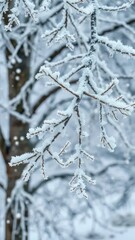 Frosty branches with snowflakes gently falling around the tree, snowfall, snowy