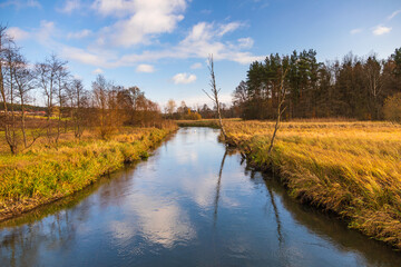 Fototapeta premium Radunia river flowing through the brown meadows. Kashubia, Pomerania, Poland.