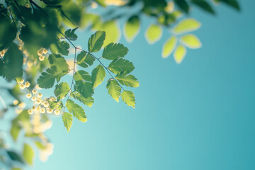 Obraz premium Green leaves and yellow flowers against clear blue sky showcasing vibrant nature