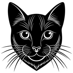 black cat face