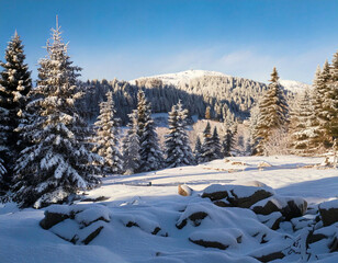 Obraz premium Peaceful Winter Silence Serenity