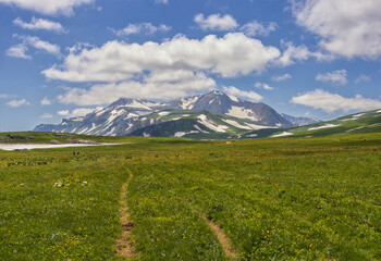 summer- all the colors in nature and plants on a sunny day, a park, a walk through the highlands and alpine expanses