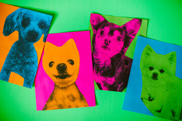 pop art neon dog portraits