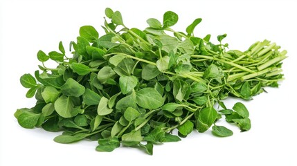 Fresh Green Culinary Herbs Isolated on White Background for Cooking and Flavor Enhancement Use in Recipes