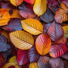 Fototapeta premium Vibrant Autumn Leaves on Ground Capturing Rich Textures and Colors of Fall Season in Stunning Detail for Nature Photography