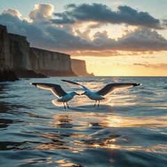 Fototapeta premium Two seagulls glide gracefully over the ocean at sunset, their wings illuminated by the golden light.