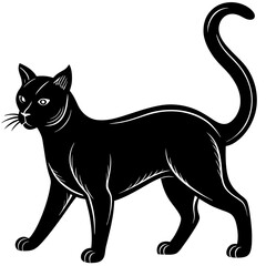 black cat silhouette