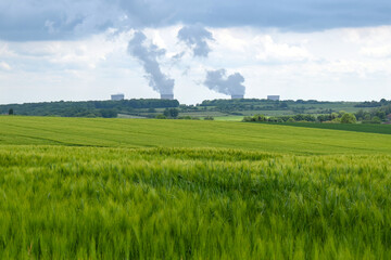 Fototapeta premium A lush green wheat field stretches towards the horizon, with the Cattenom nuclear power plant visible in the background under a cloudy sky.