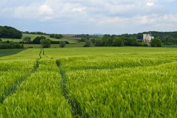 A vast green wheat field stretches towards the horizon, with a grain silo standing in the distance under a bright sky.