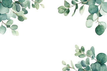 Floral design in watercolor for banner and card design on a transparent background 