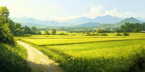 Obraz premium View of Southeast Asian Rice Fields Under the Afternoon Sun