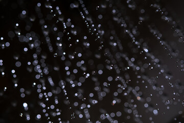 Abstract texture of water jets from the shower in close-up.