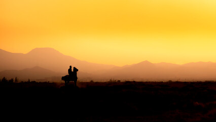 Silhouette of a Horse Rider at Sunset | Dramatic Sky  Equestrian Scene  Golden Hour  Serene Landscape  IRAN photo	