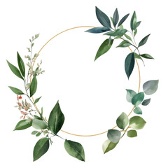 Watercolor floral elements on a transparent background 