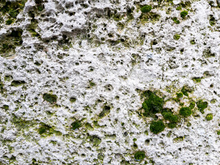 Moss covered stone wall texture as background natural pattern design element