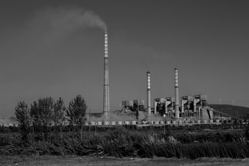 nature olive trees and thermal power plant general view