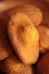 madeleine