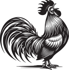  Vector Illustration of a Rooster - Black and White Outline Design