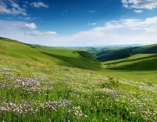 Fototapeta premium y 春の丘陵風景 そよ風に揺れる草原と点在する花々。広い空が背景に広がり、余白部分がテキストやグラフィックの配置をサポート