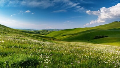 Fototapeta premium y 春の丘陵風景 そよ風に揺れる草原と点在する花々。広い空が背景に広がり、余白部分がテキストやグラフィックの配置をサポート