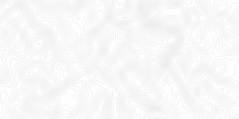 White topography topology vector white background fresh contour map texture. white seamless pattern Abstract background with a wave Topography and geography map grid abstract backdrop.