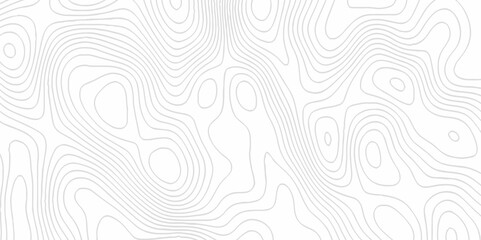 White topography topology vector white background fresh contour map texture. white seamless pattern Abstract background with a wave Topography and geography map grid abstract backdrop.