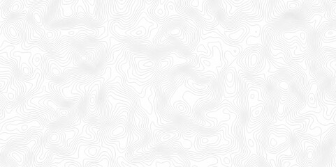 White topography topology vector white background fresh contour map texture. white seamless pattern Abstract background with a wave Topography and geography map grid abstract backdrop. © Mr Jishana