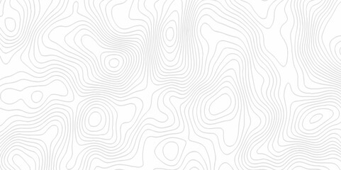 White topography topology vector white background fresh contour map texture. white seamless pattern Abstract background with a wave Topography and geography map grid abstract backdrop.