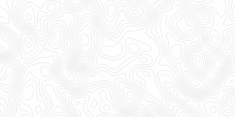 White topography topology vector white background fresh contour map texture. white seamless pattern Abstract background with a wave Topography and geography map grid abstract backdrop.