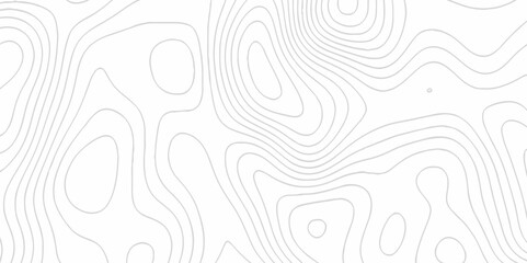 White topography topology vector white background fresh contour map texture. white seamless pattern Abstract background with a wave Topography and geography map grid abstract backdrop.