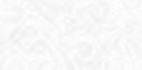 White topography topology vector white background fresh contour map texture. white seamless pattern Abstract background with a wave Topography and geography map grid abstract backdrop.