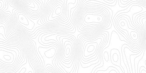 White topography topology vector white background fresh contour map texture. white seamless pattern Abstract background with a wave Topography and geography map grid abstract backdrop.