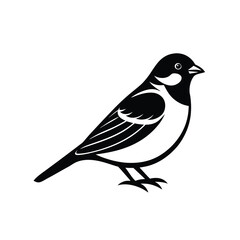 Obraz premium a vector illustration of a bird.