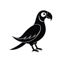 Obraz premium a vector illustration of parrot.