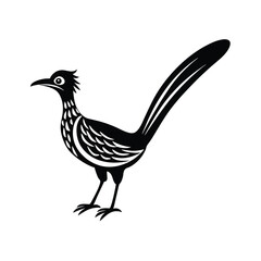 Fototapeta premium a vector illustration of greater roadrunner bird.